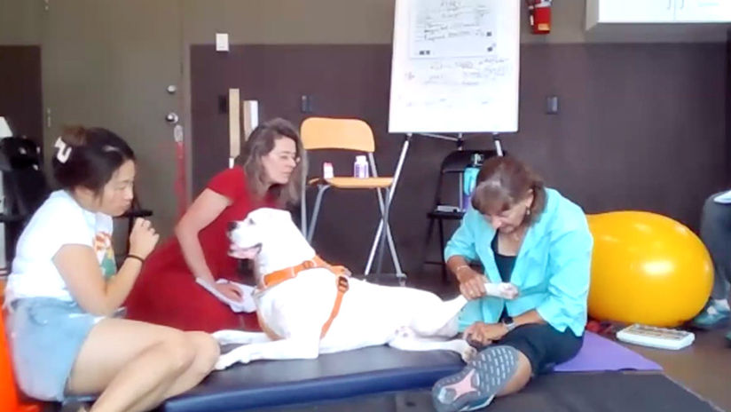 2024 Acupuncture Rehabilitation (August 16-18) Part 2/3